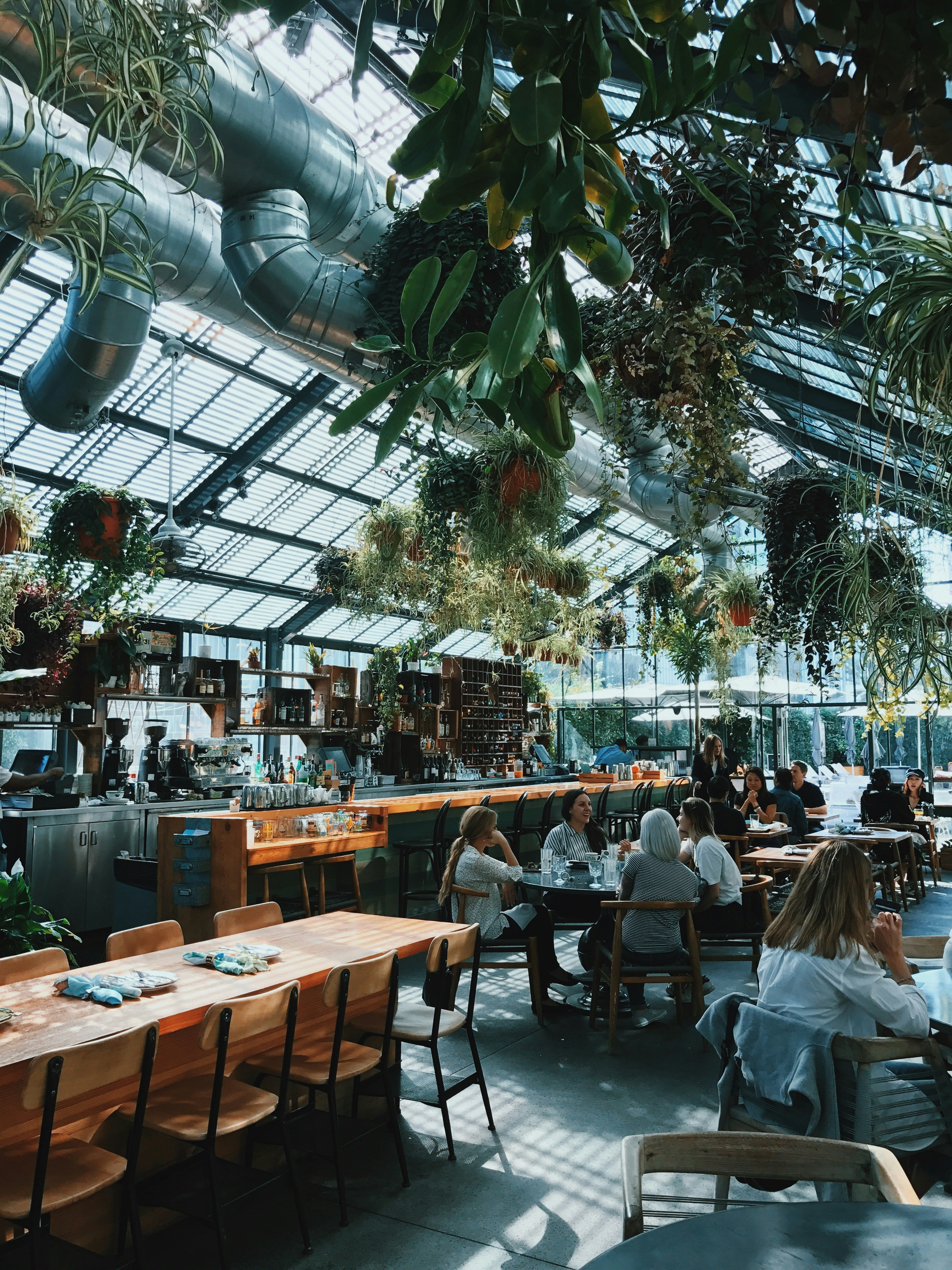 Venue of the coffeeshop